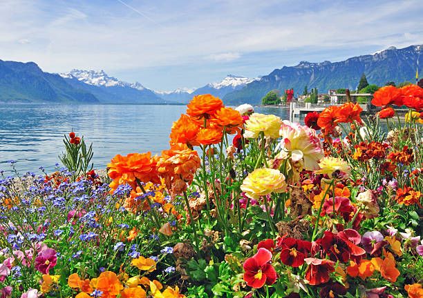 Analisis USD/CHF Bergerak Terbatas - Data Pasar 2026-04-24