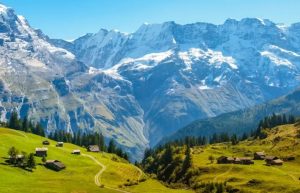 USD/CHF Tertahan, Franc Swiss Masih Jadi Pilihan Safe Haven